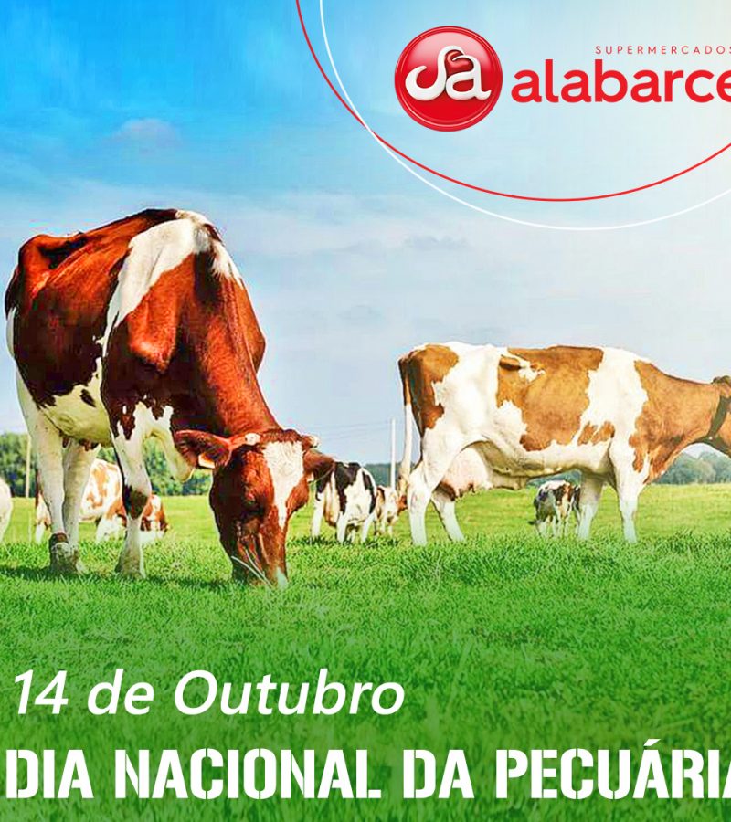 POST-DIA-NACIONAL-DA-PECUARIA