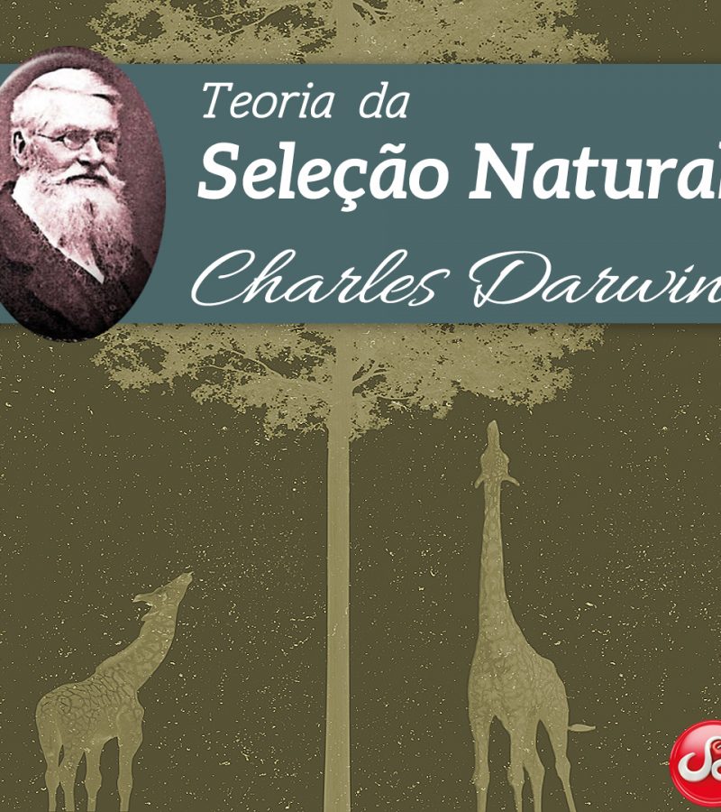 POST-TEORIA-DARWIN